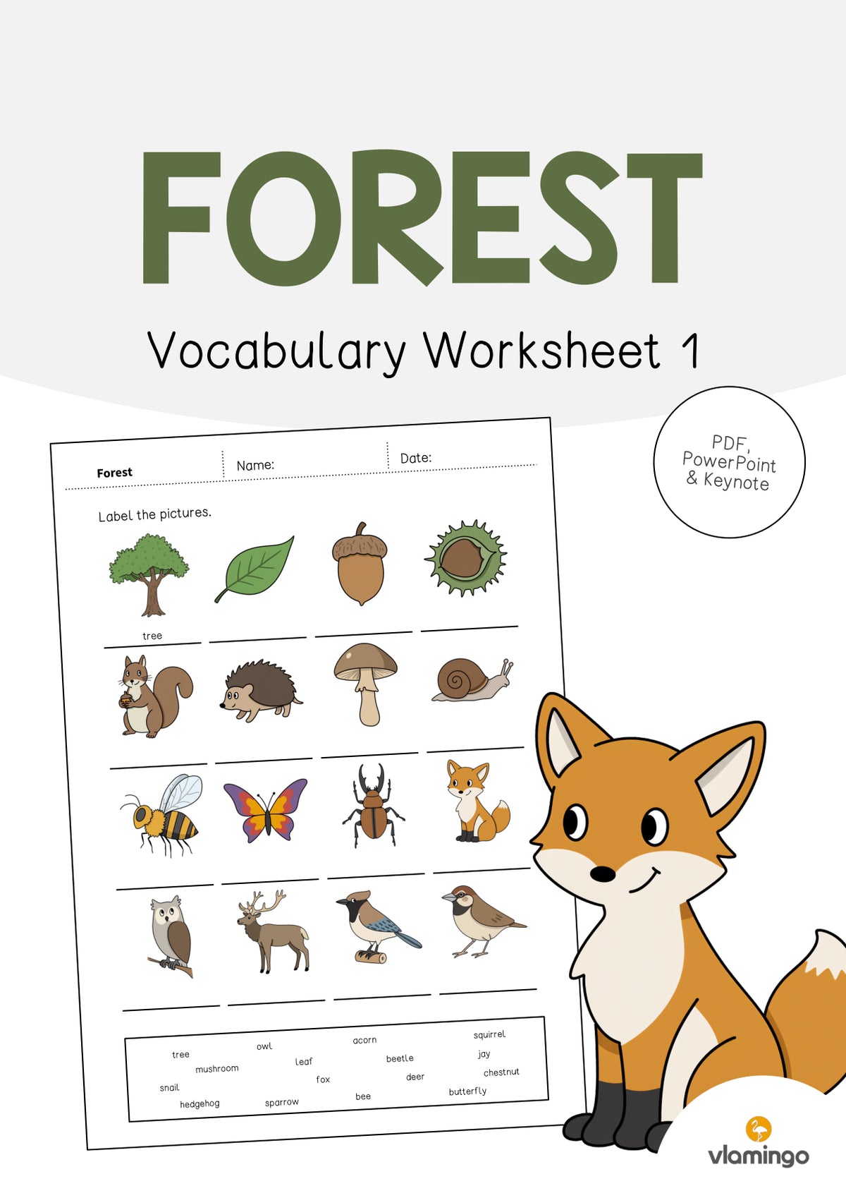 de englisch forest vocabulary worksheet 1 001