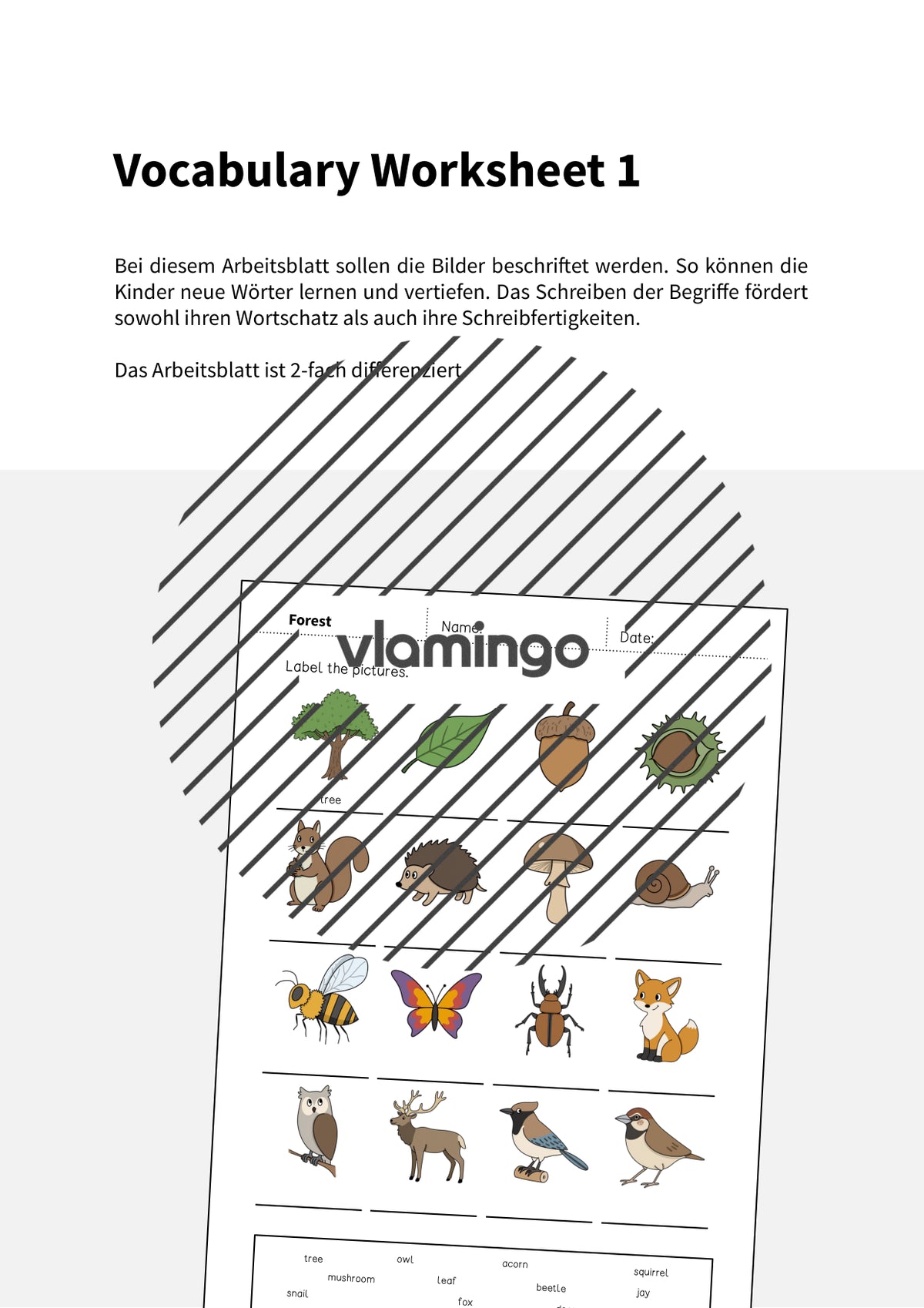 de englisch forest vocabulary worksheet 1 002