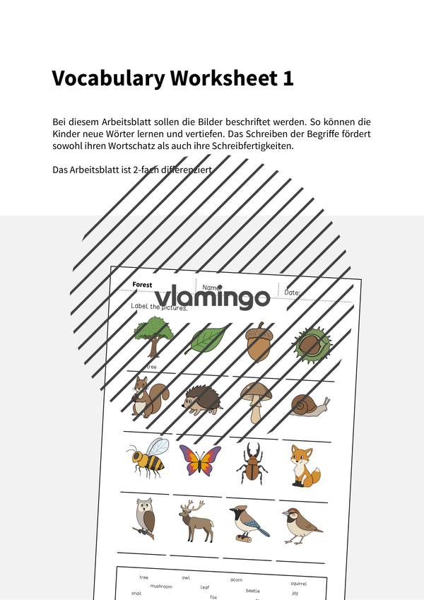 de englisch forest vocabulary worksheet 1 002