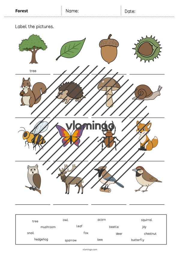 de englisch forest vocabulary worksheet 1 004