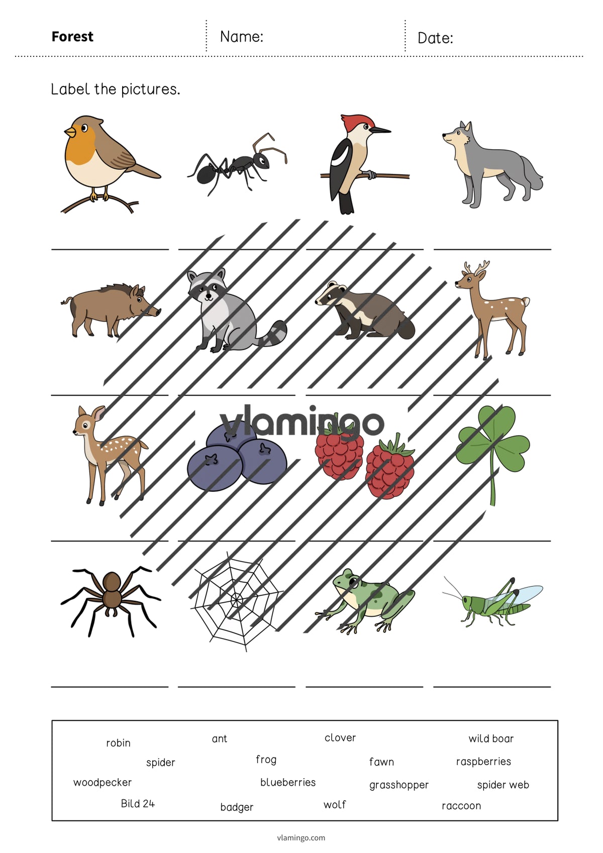 de englisch forest vocabulary worksheet 1 005