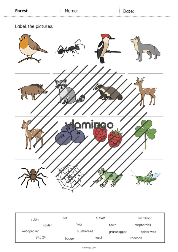 de englisch forest vocabulary worksheet 1 005