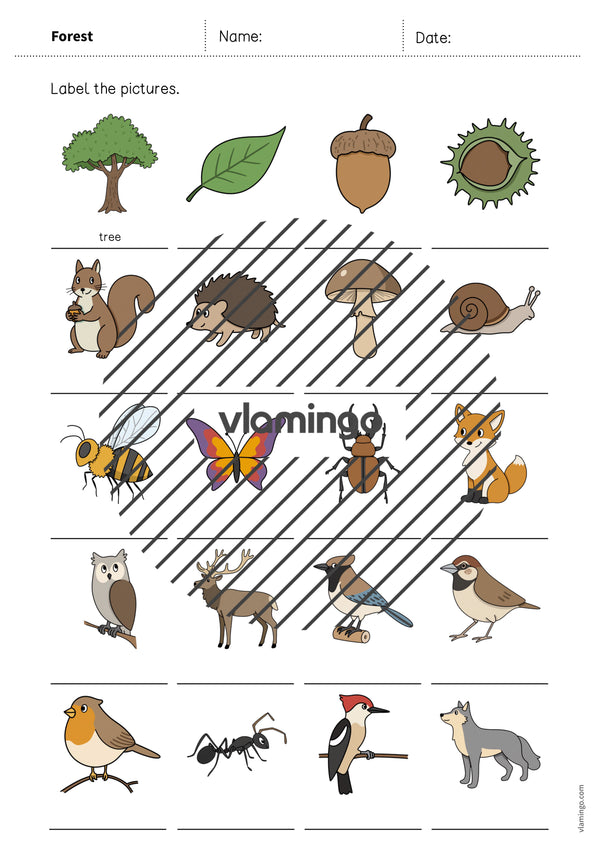 de englisch forest vocabulary worksheet 1 007