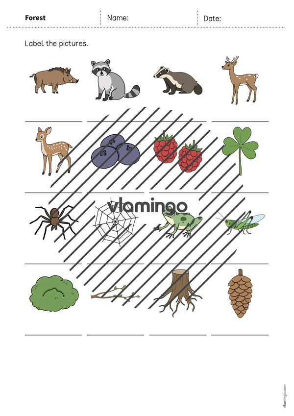 de englisch forest vocabulary worksheet 1 008