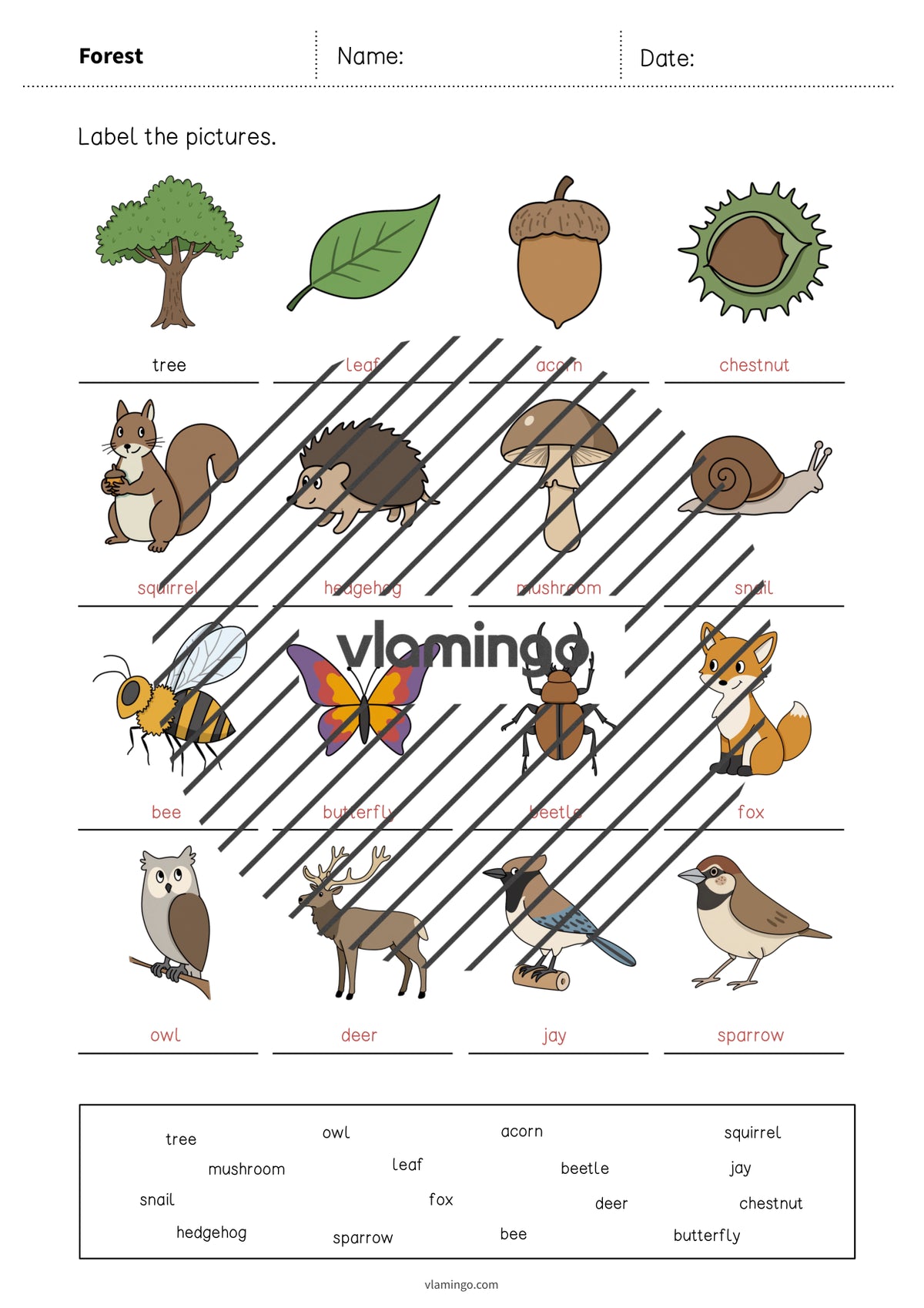 de englisch forest vocabulary worksheet 1 010