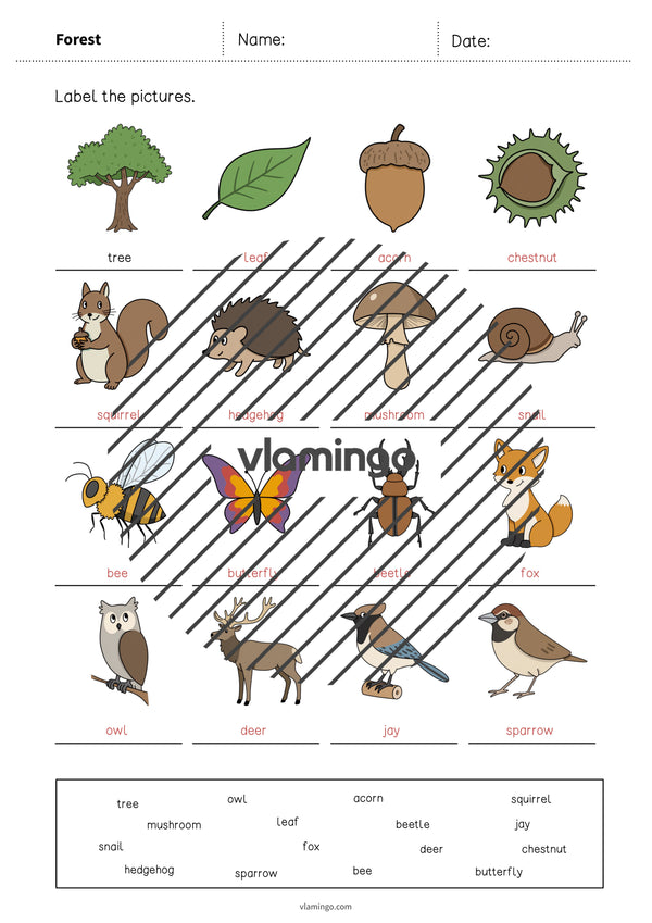 de englisch forest vocabulary worksheet 1 010