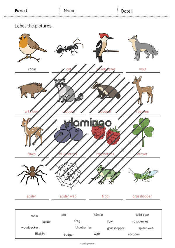 de englisch forest vocabulary worksheet 1 011