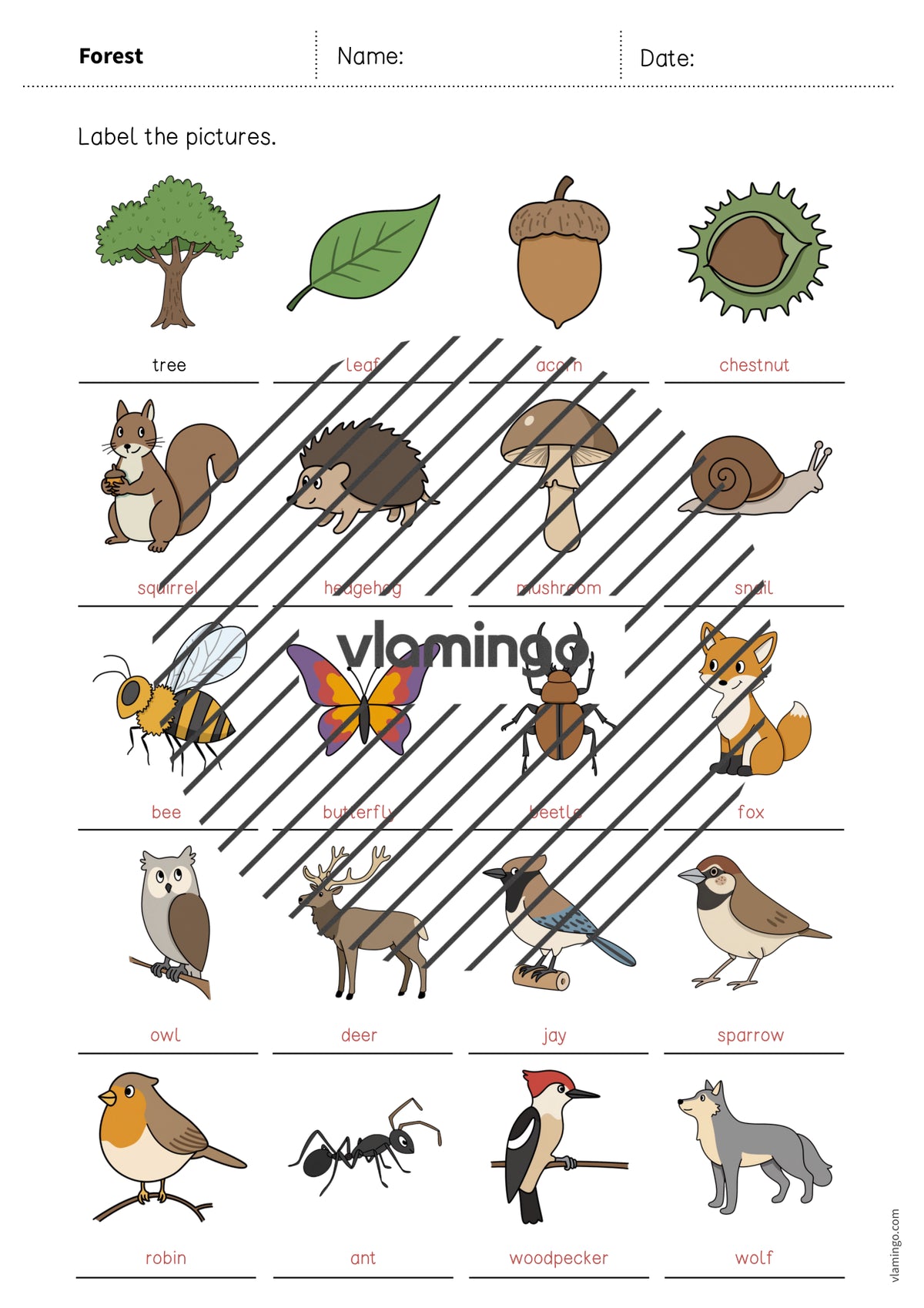 de englisch forest vocabulary worksheet 1 012