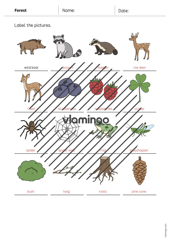 de englisch forest vocabulary worksheet 1 013