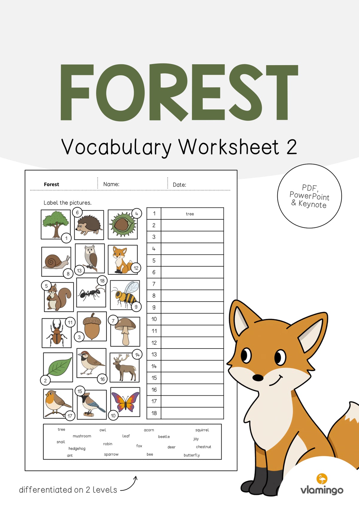 de englisch forest vocabulary worksheet 2 001