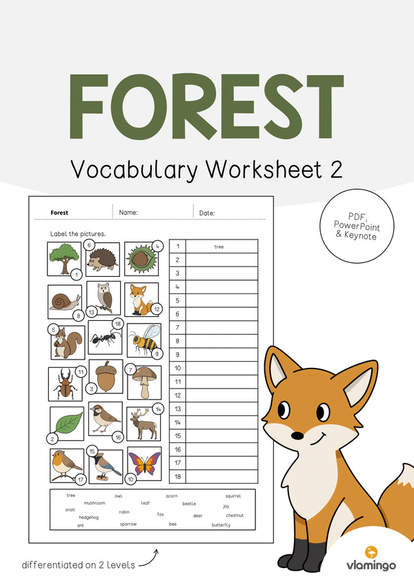de englisch forest vocabulary worksheet 2 001