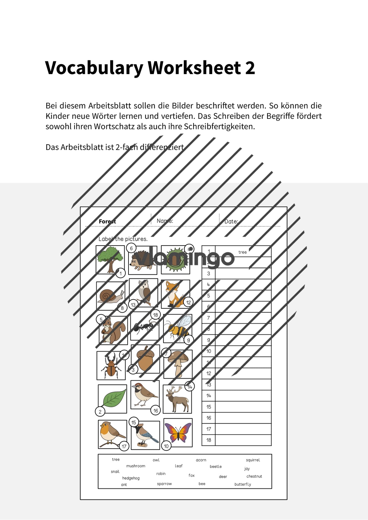 de englisch forest vocabulary worksheet 2 002