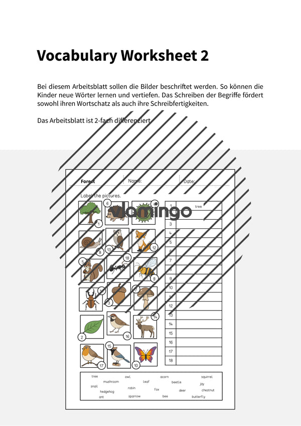 de englisch forest vocabulary worksheet 2 002