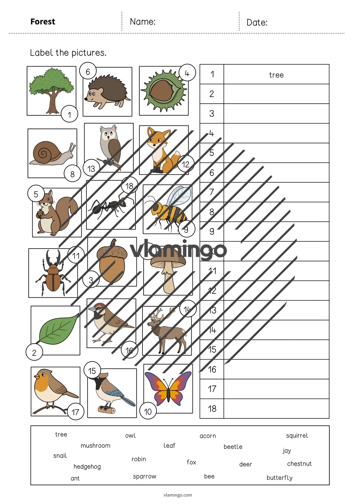 de englisch forest vocabulary worksheet 2 004