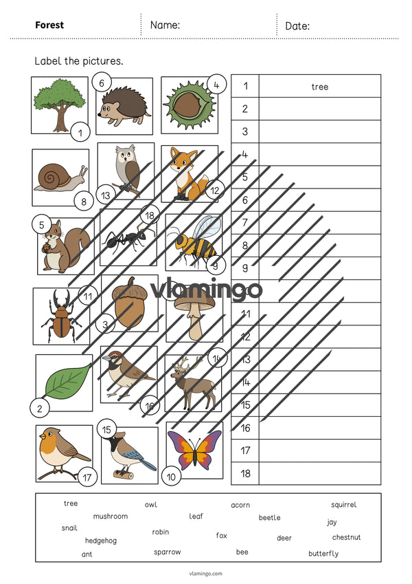 de englisch forest vocabulary worksheet 2 004