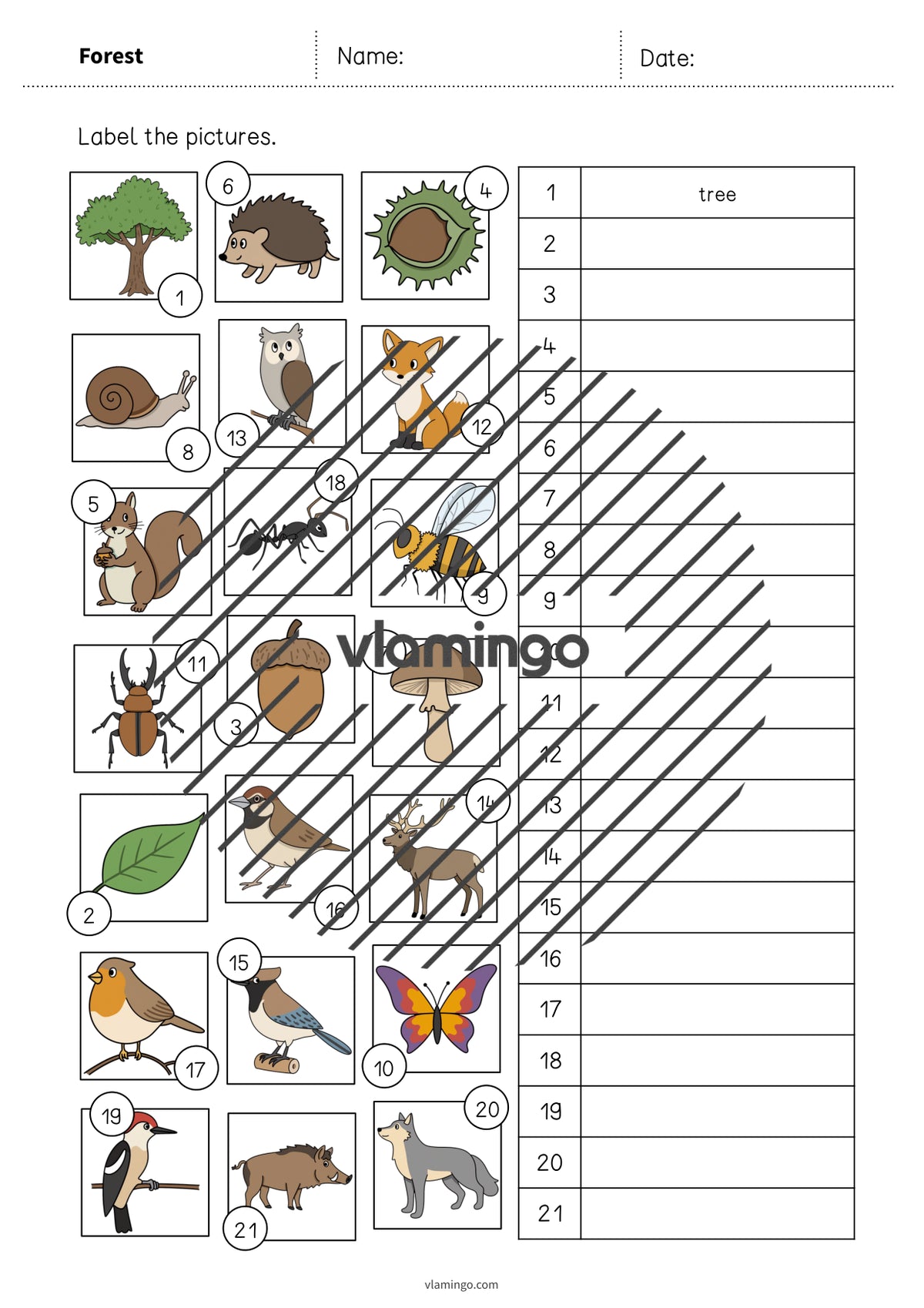 de englisch forest vocabulary worksheet 2 006