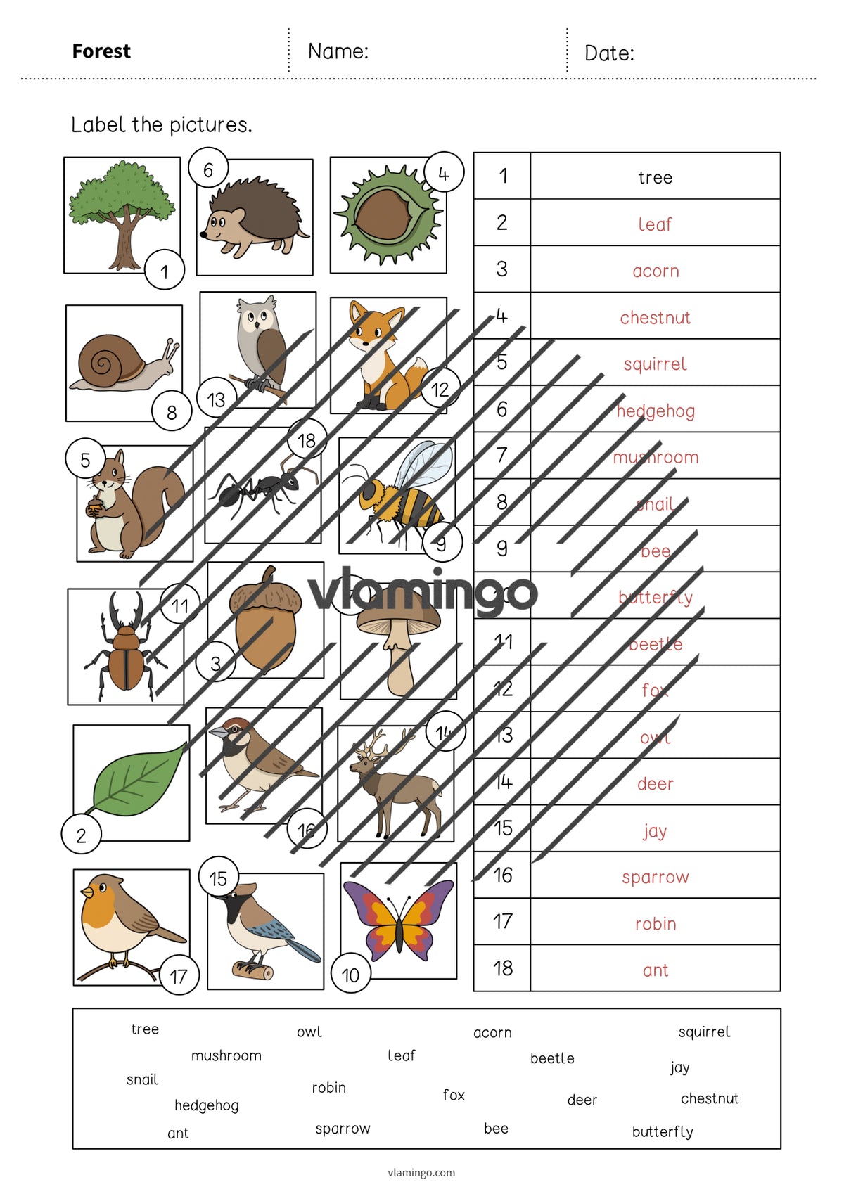 de englisch forest vocabulary worksheet 2 008
