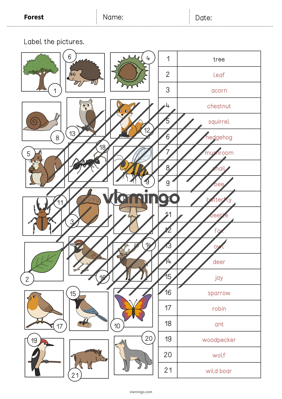 de englisch forest vocabulary worksheet 2 009