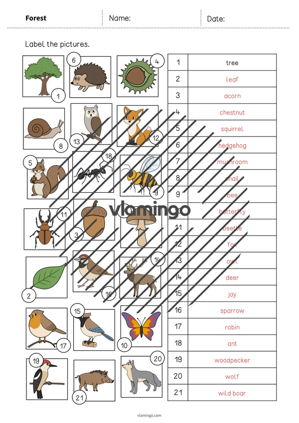 de englisch forest vocabulary worksheet 2 009
