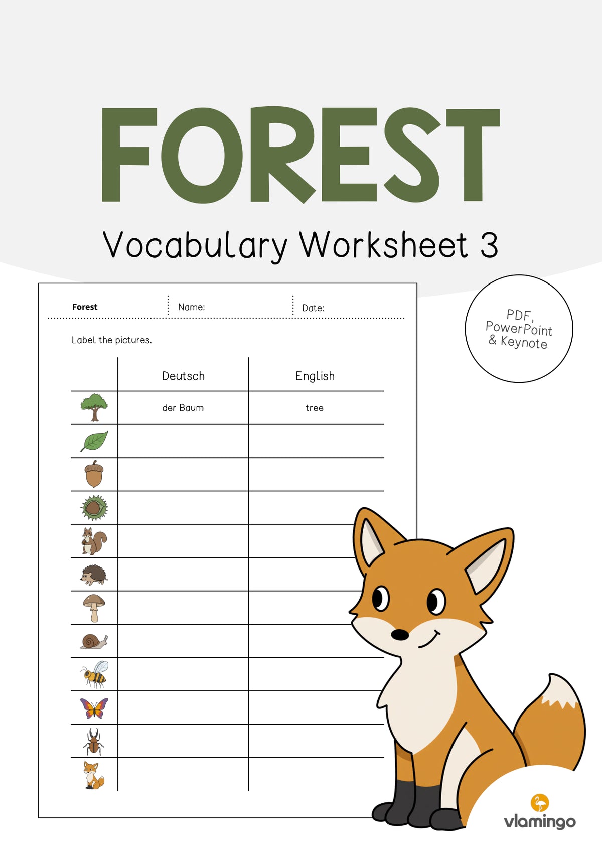 de englisch forest vocabulary worksheet 3 001