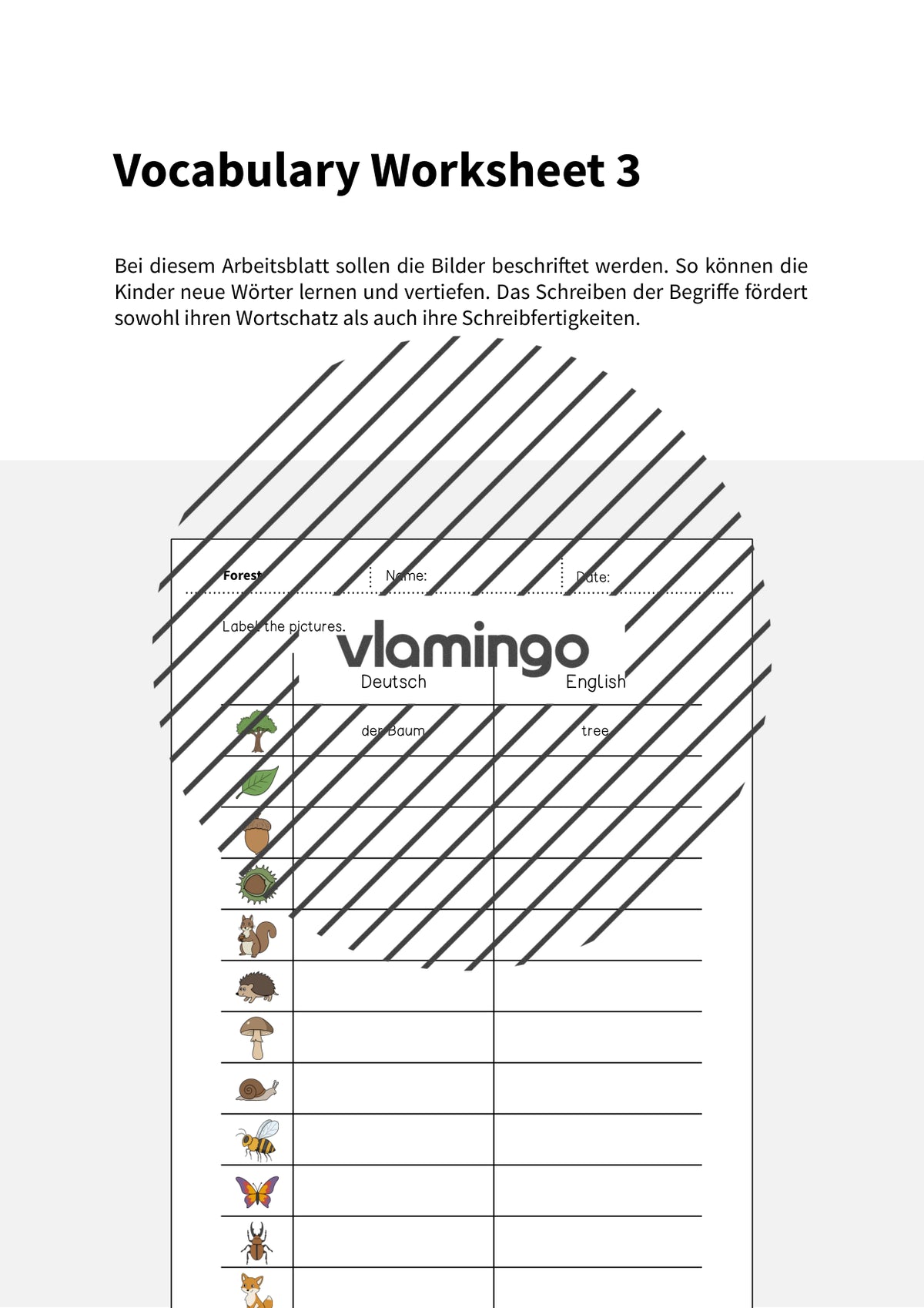 de englisch forest vocabulary worksheet 3 002