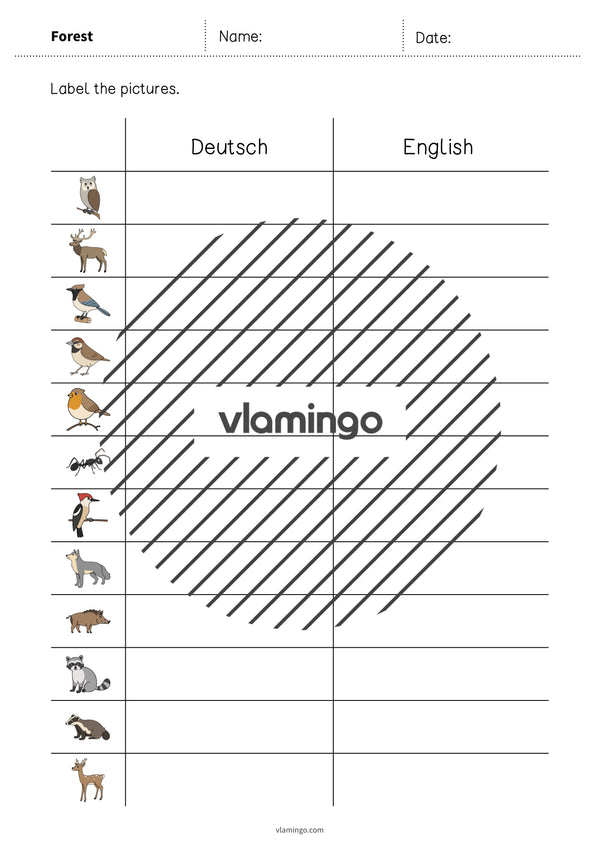 de englisch forest vocabulary worksheet 3 004