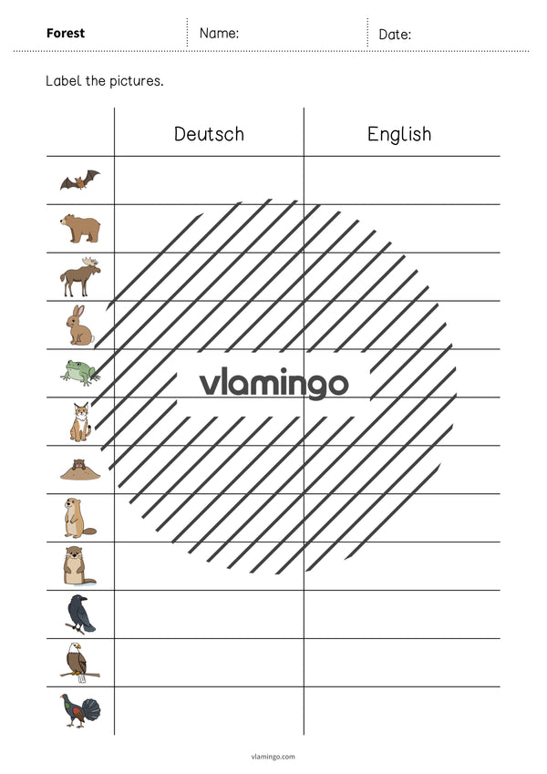 de englisch forest vocabulary worksheet 3 007