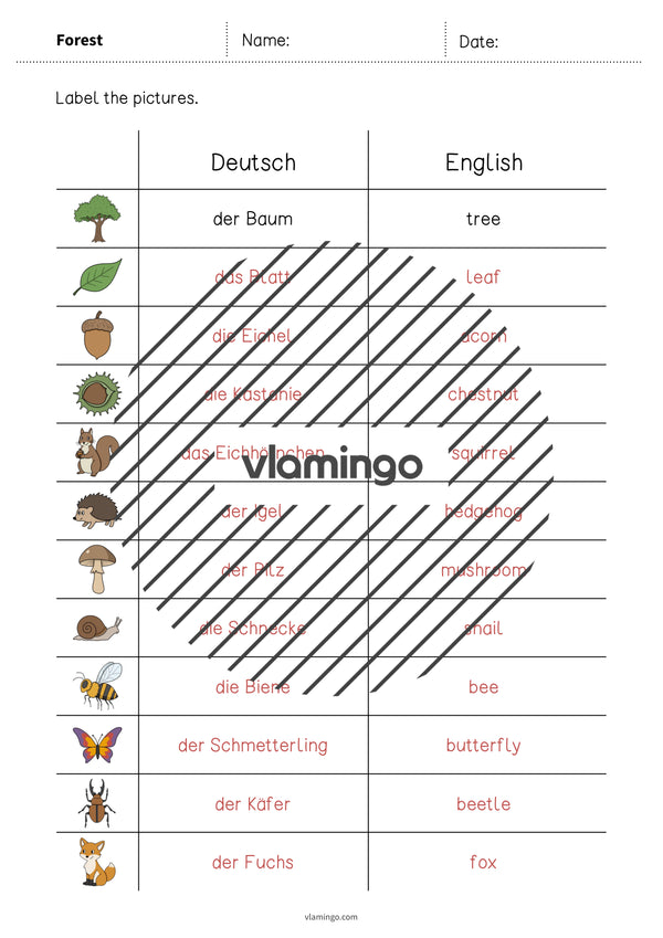 de englisch forest vocabulary worksheet 3 009