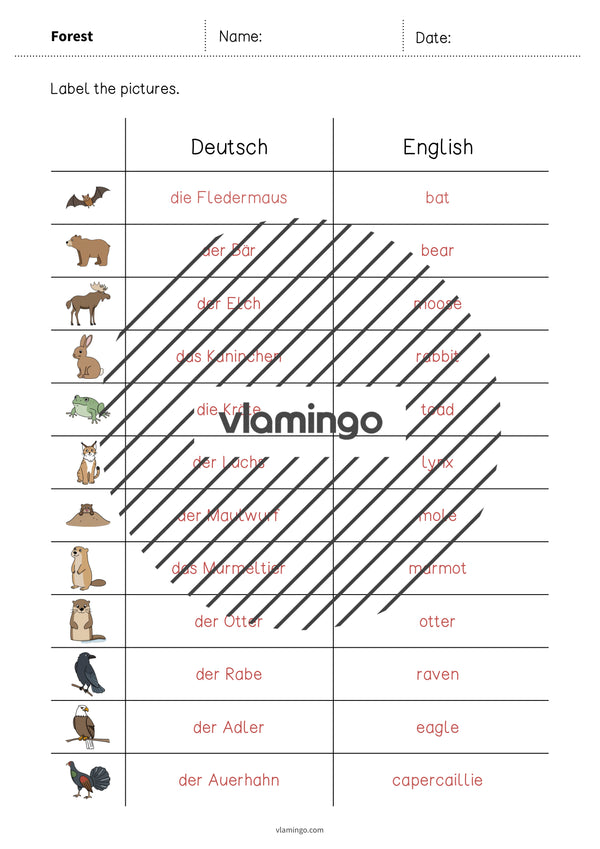de englisch forest vocabulary worksheet 3 013