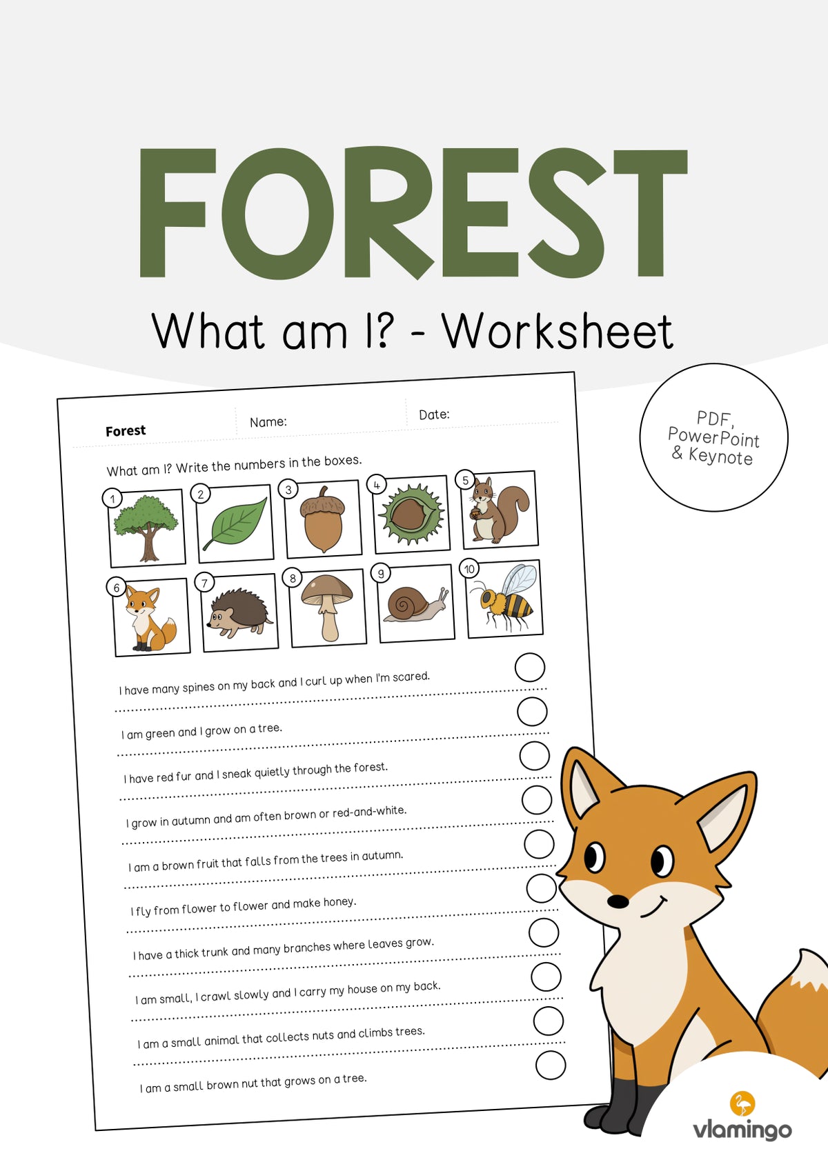 de englisch forest what am i worksheet 001