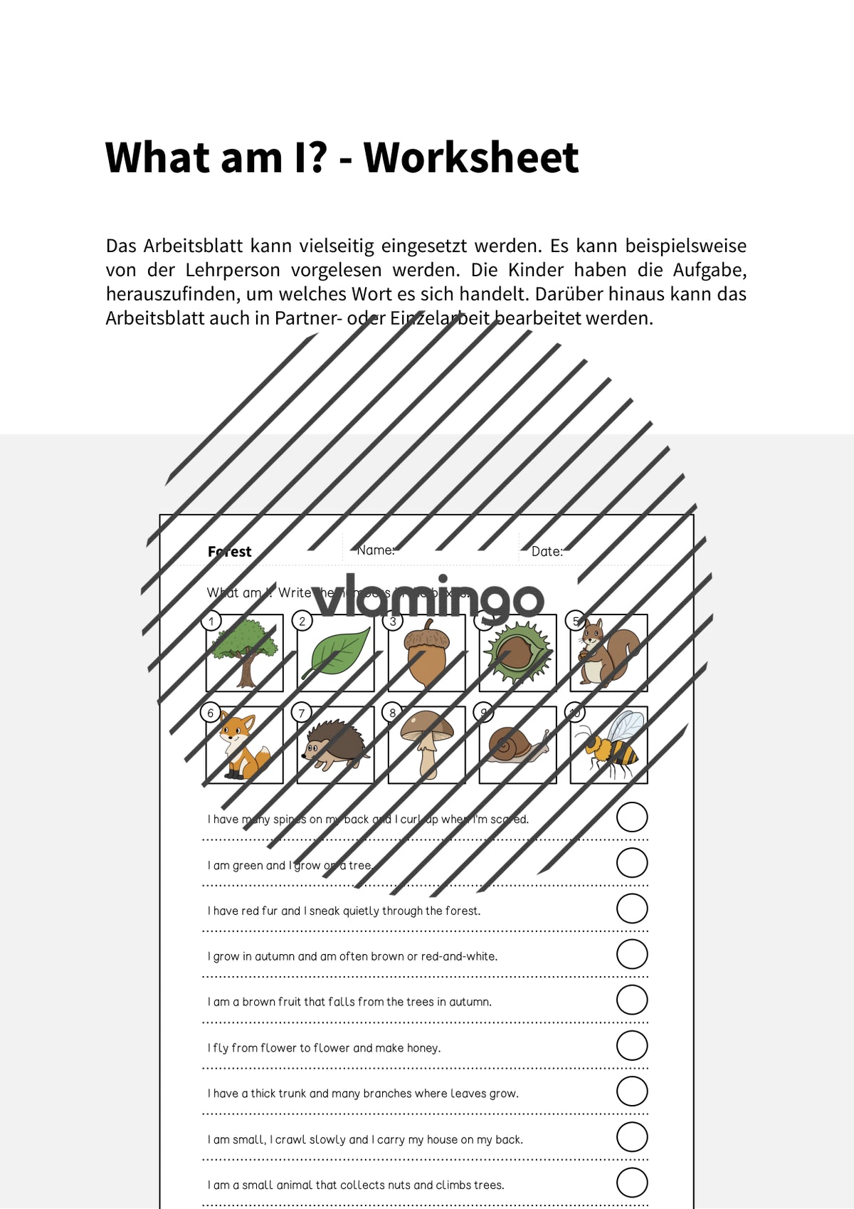 de englisch forest what am i worksheet 002