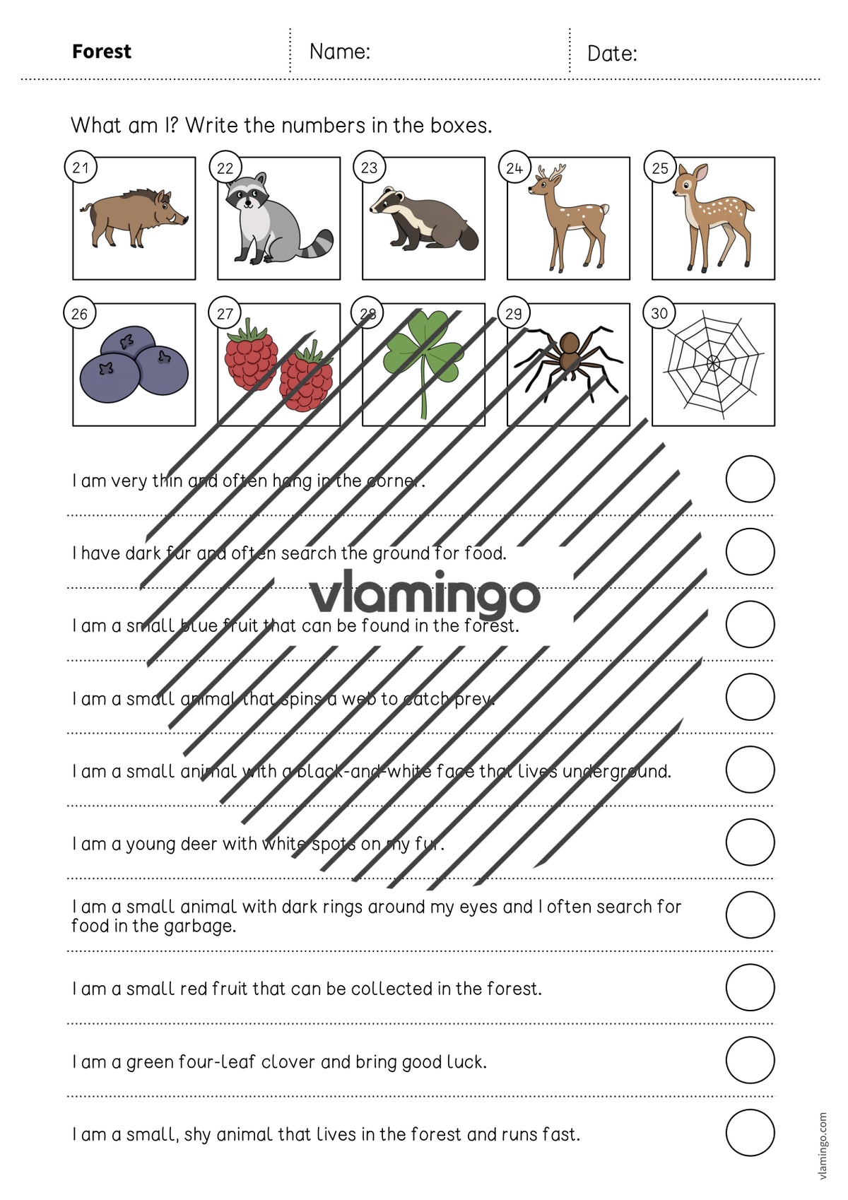 de englisch forest what am i worksheet 005