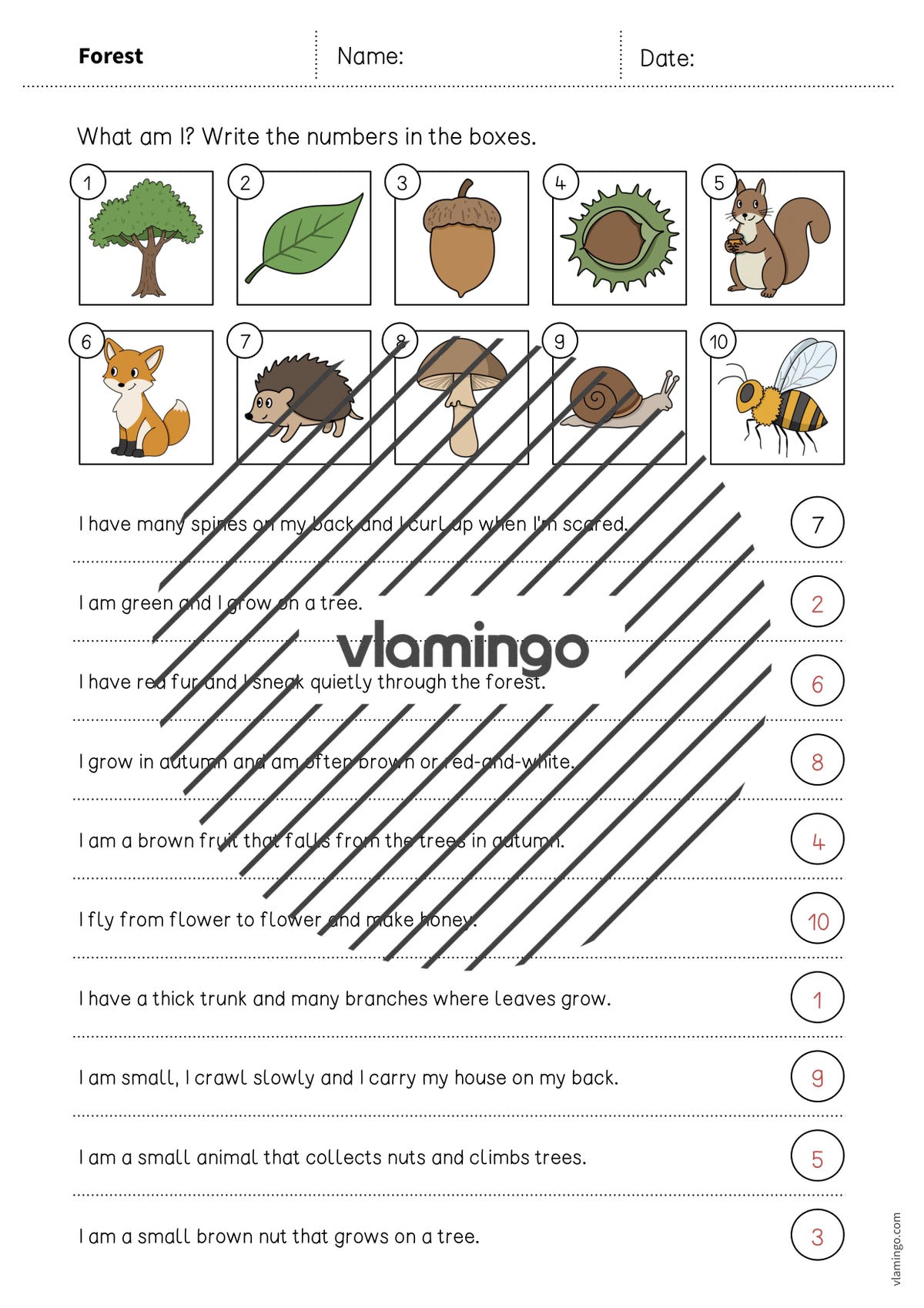 de englisch forest what am i worksheet 007