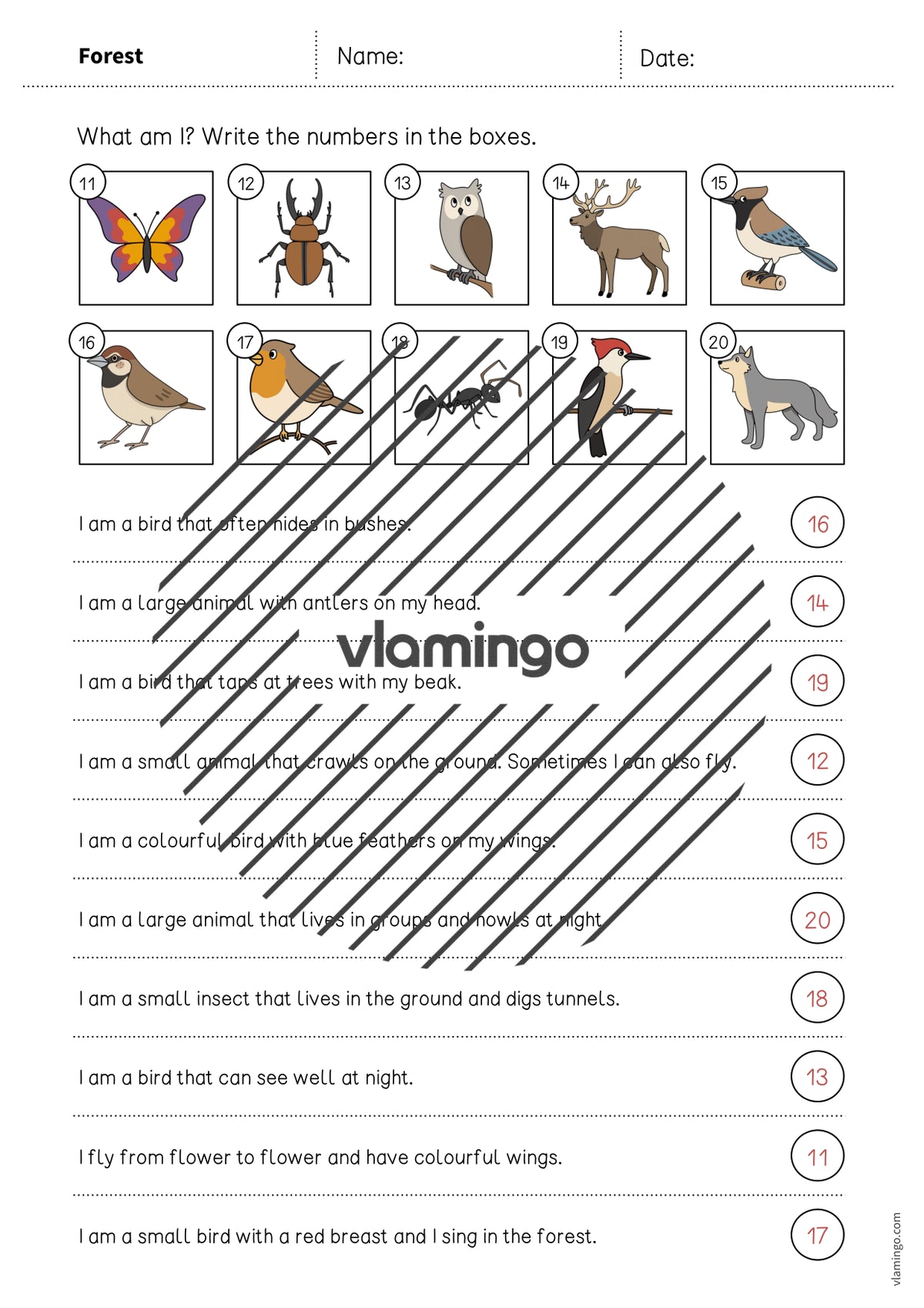 de englisch forest what am i worksheet 008