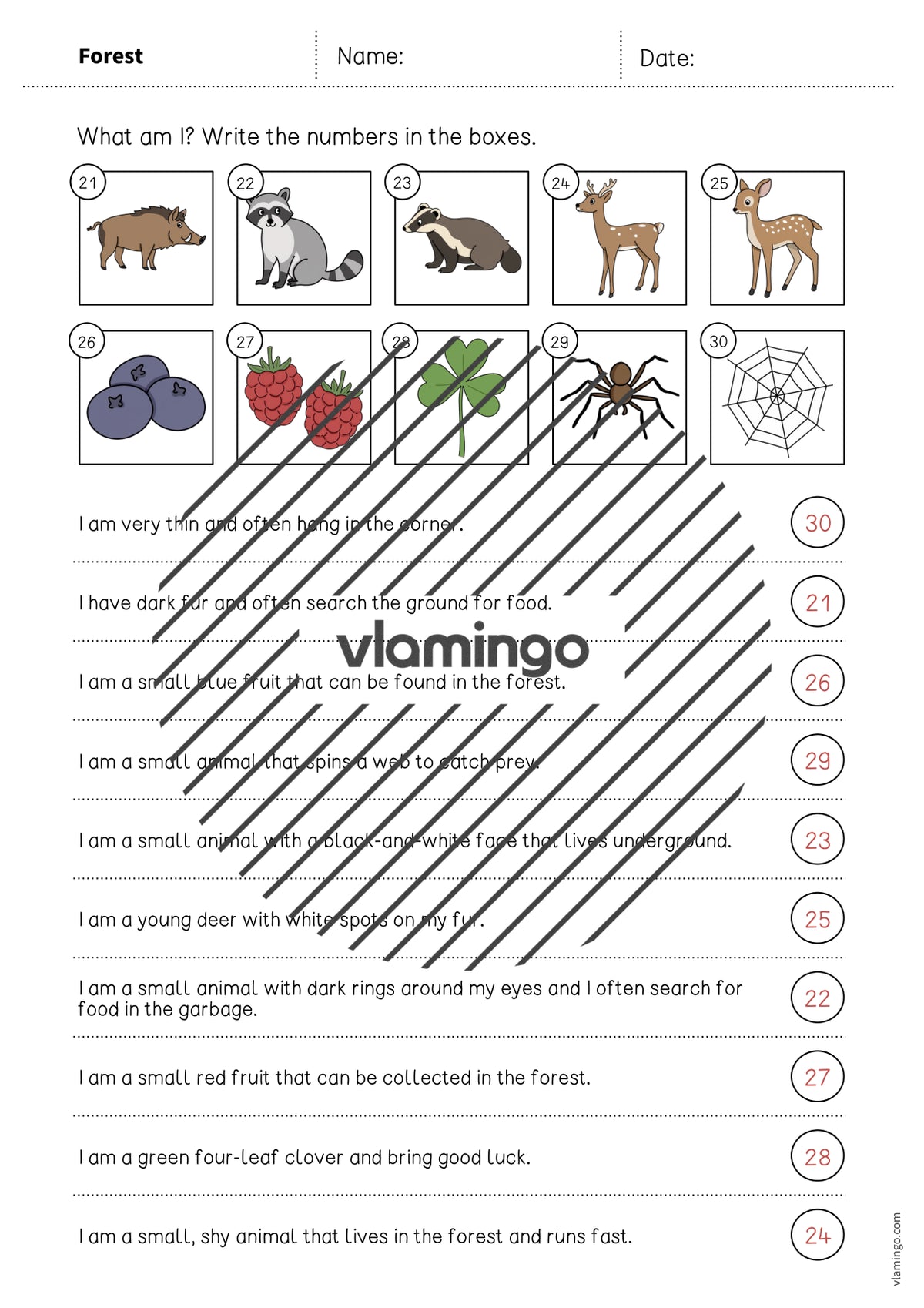 de englisch forest what am i worksheet 009
