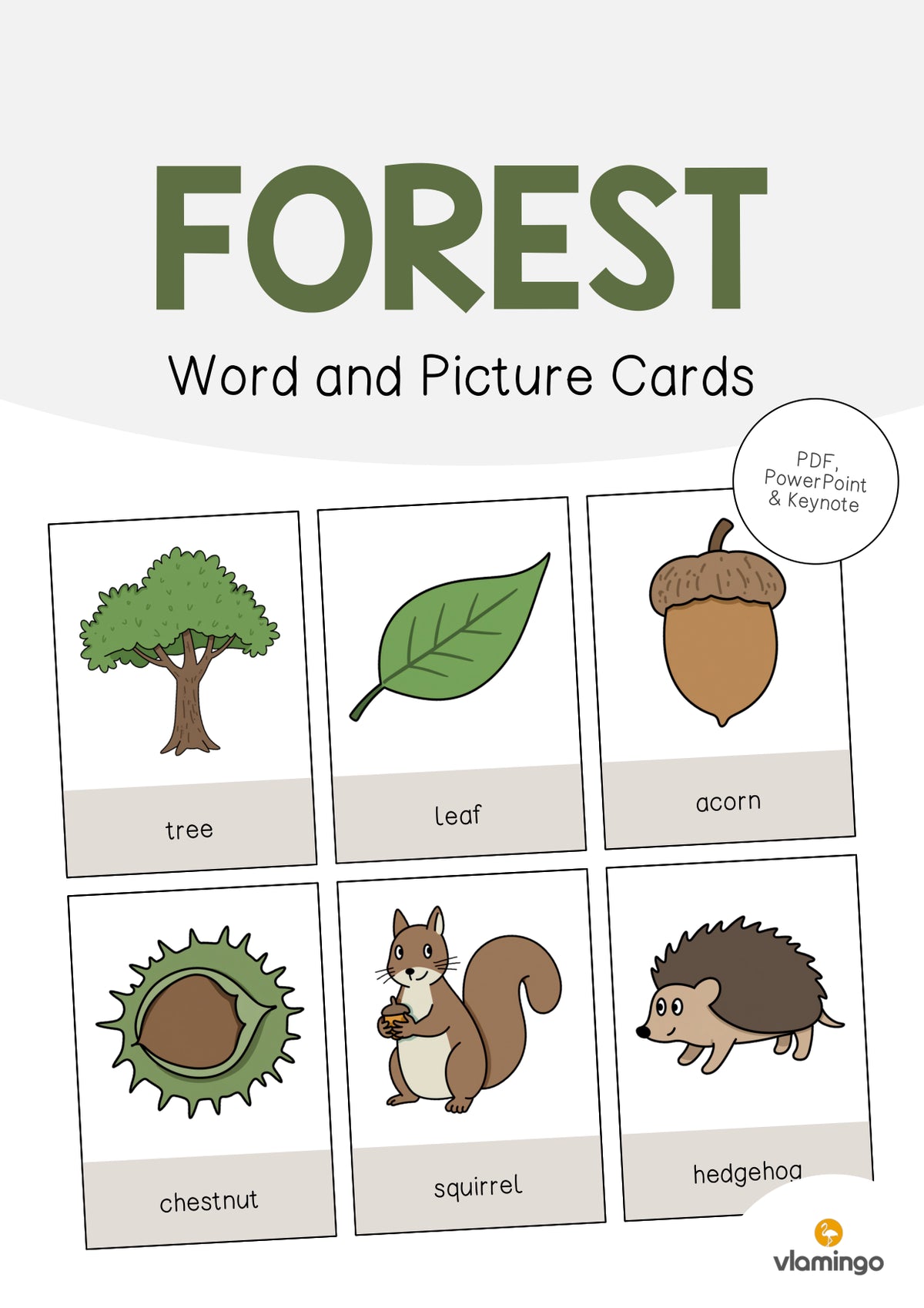 de englisch forest word and picture cards 001