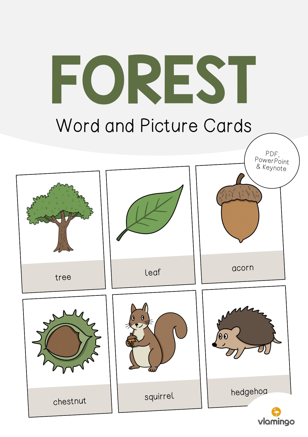 de englisch forest word and picture cards 001
