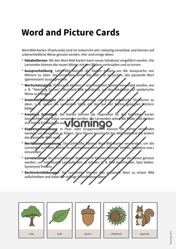 de englisch forest word and picture cards 002