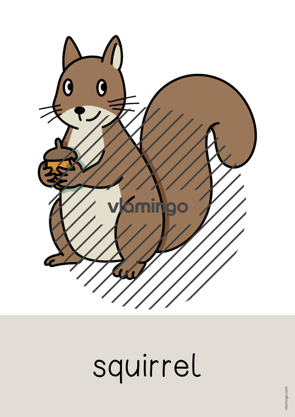 de englisch forest word and picture cards 007