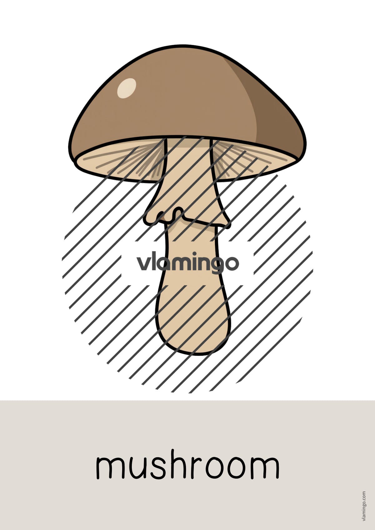 de englisch forest word and picture cards 009