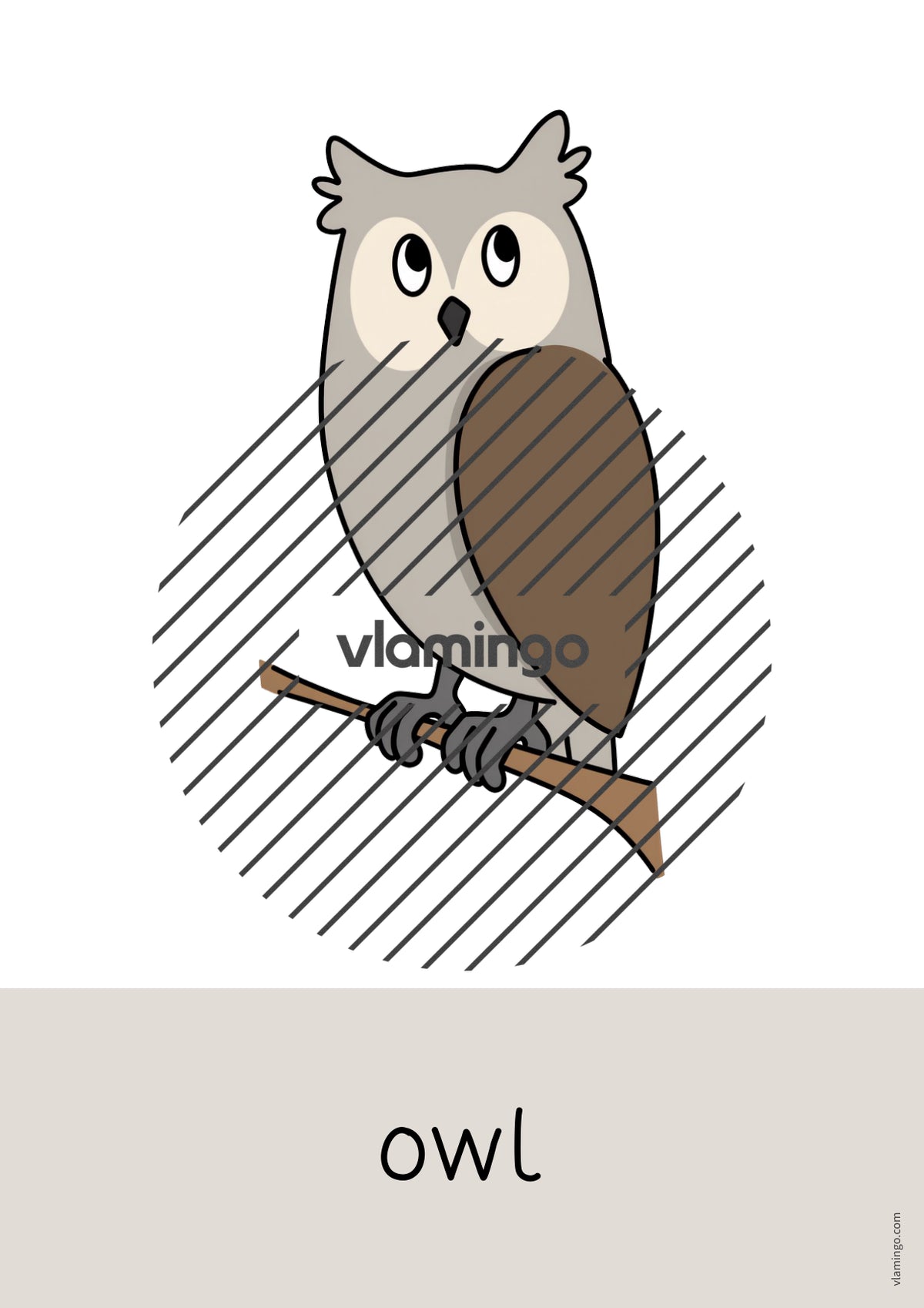 de englisch forest word and picture cards 015