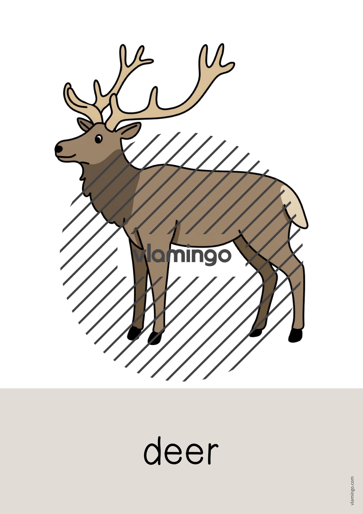 de englisch forest word and picture cards 016