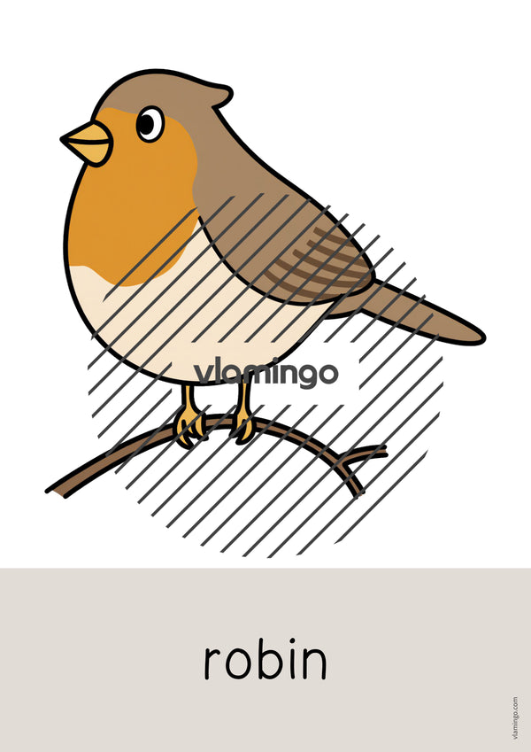 de englisch forest word and picture cards 019