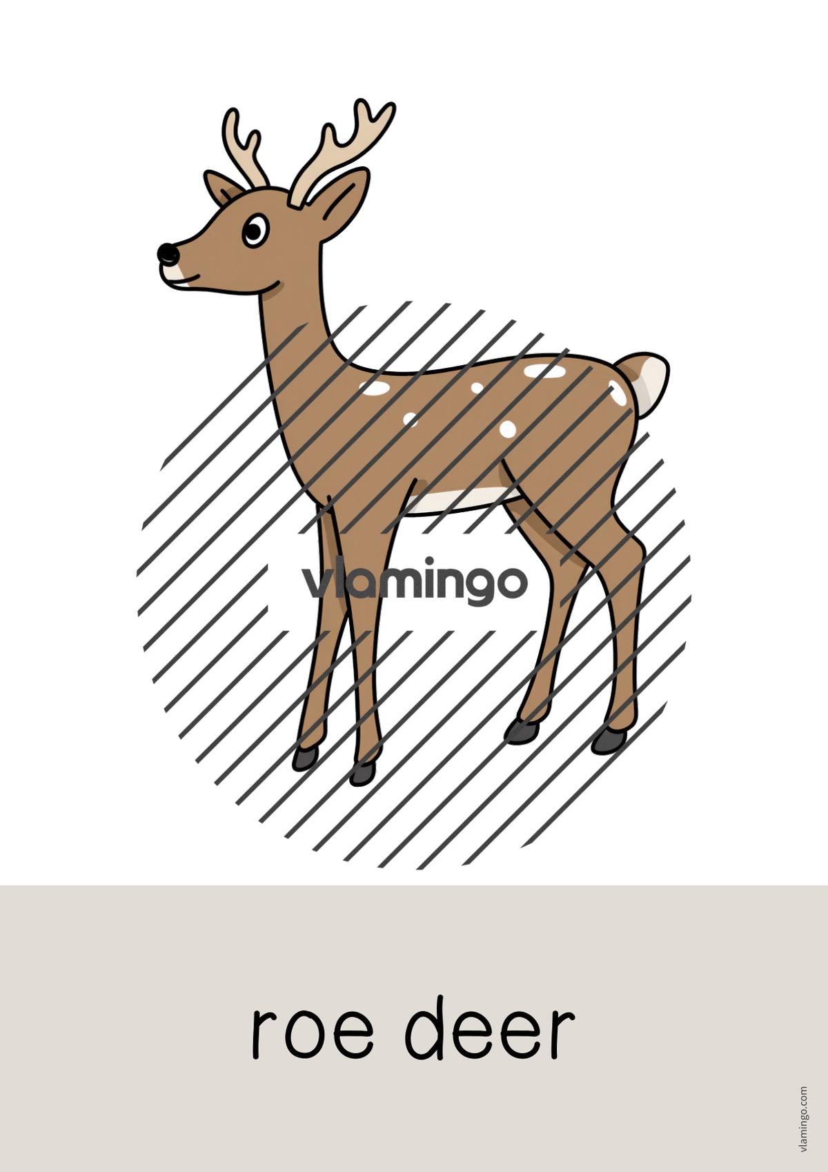 de englisch forest word and picture cards 026