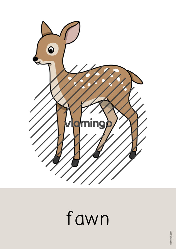 de englisch forest word and picture cards 027