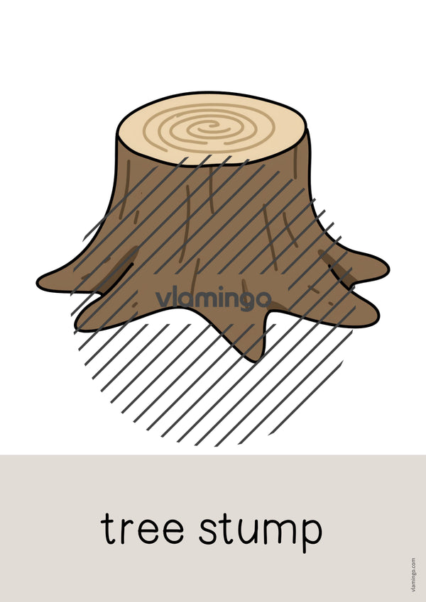 de englisch forest word and picture cards 039