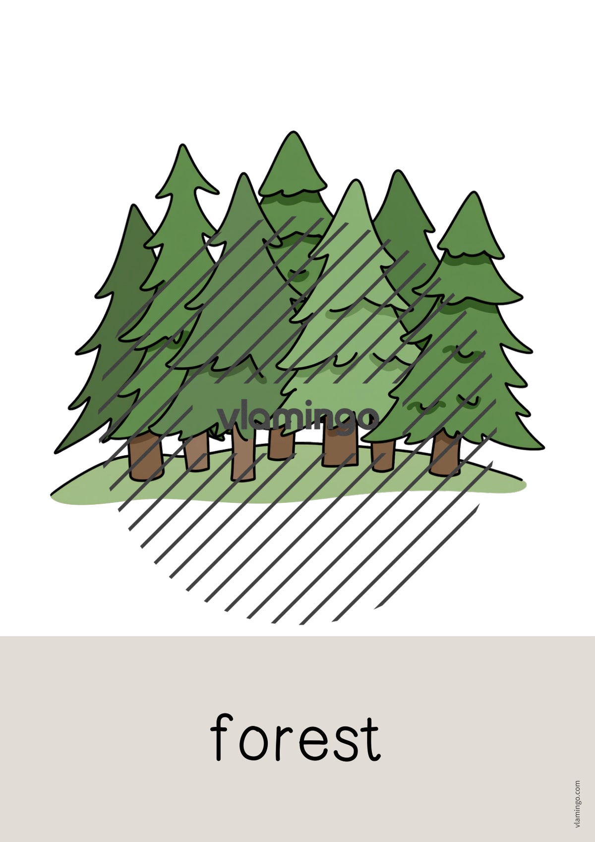 de englisch forest word and picture cards 042