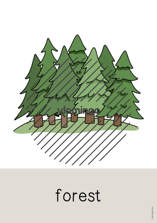 de englisch forest word and picture cards 042