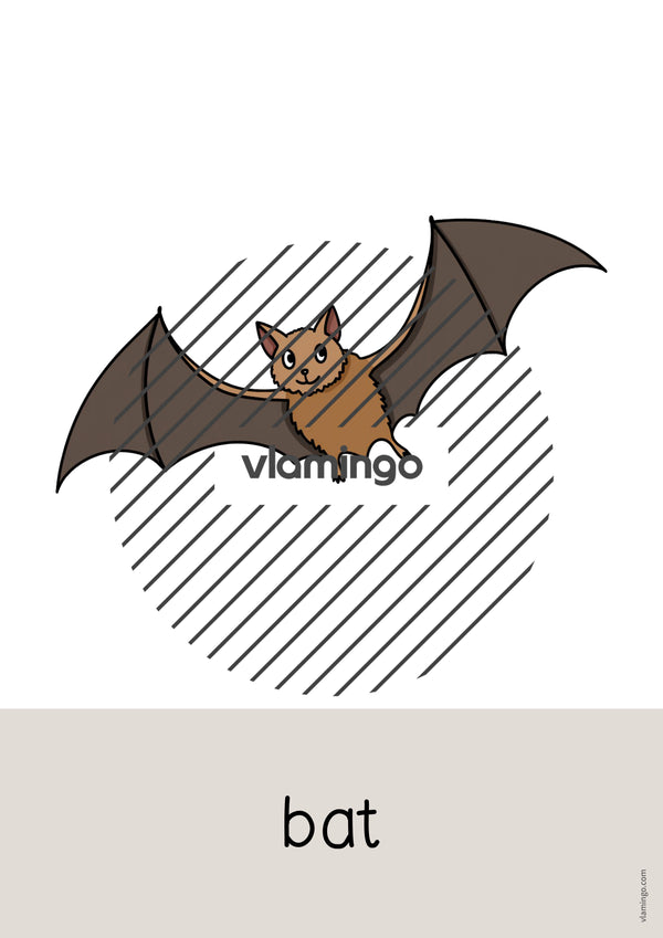 de englisch forest word and picture cards 051