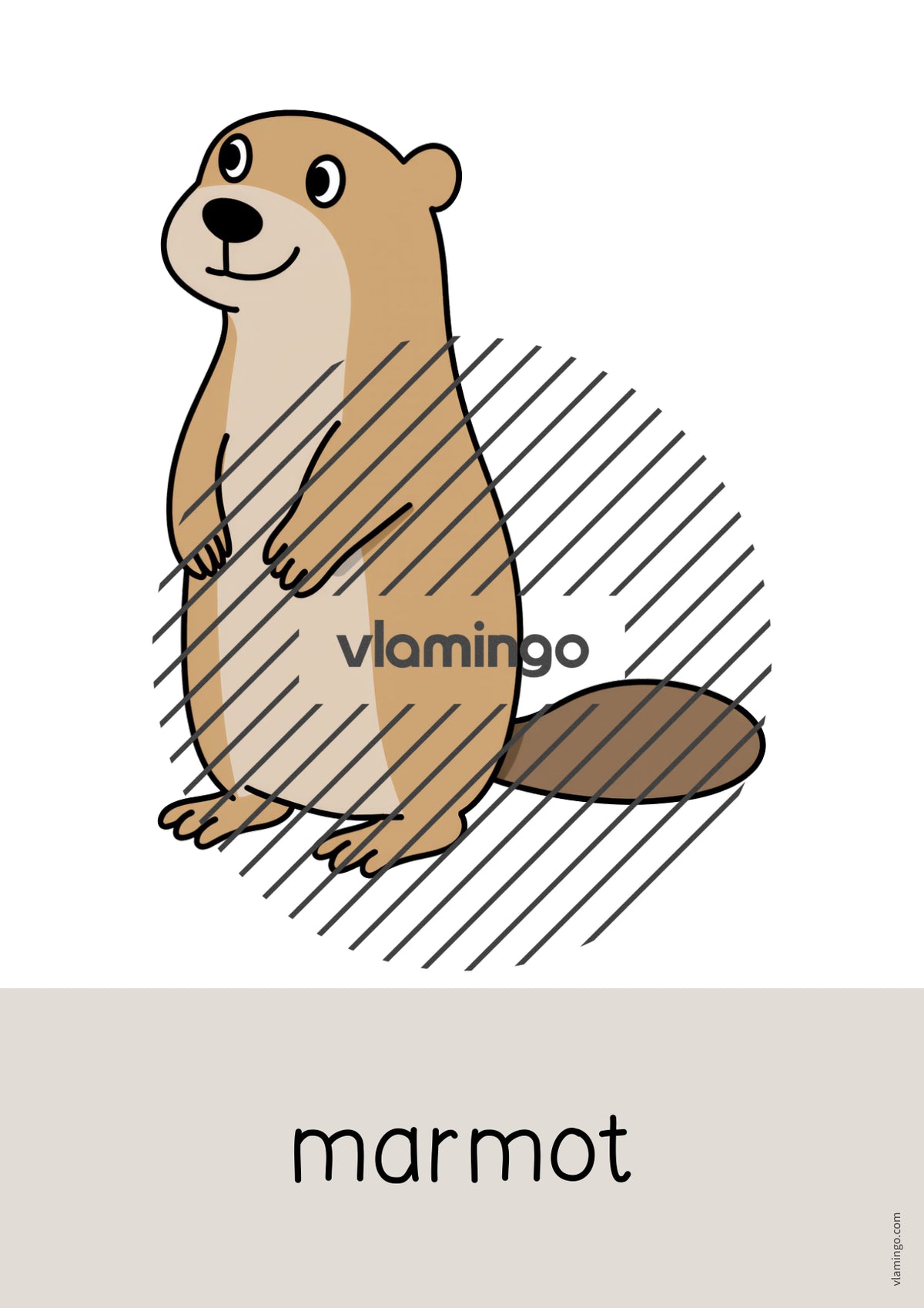 de englisch forest word and picture cards 058